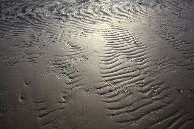 Kumda dalga izleri ve güneş ışığı yansıyor.