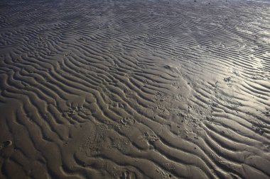 Kumda dalga izleri ve güneş ışığı yansıyor.