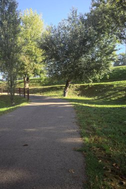 Güneşli bir günde, setin yanındaki ağaçlarla çevrili patika.