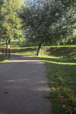 Güneşli bir günde, setin yanındaki ağaçlarla çevrili patika.