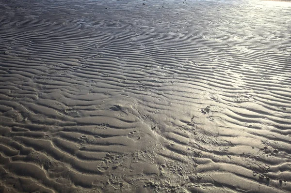 Kumda dalga izleri ve güneş ışığı yansıyor.