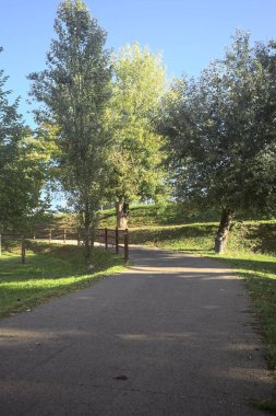 Güneşli bir günde, setin yanındaki ağaçlarla çevrili patika.