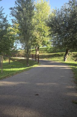 Güneşli bir günde, setin yanındaki ağaçlarla çevrili patika.