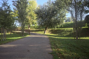 Güneşli bir günde, setin yanındaki ağaçlarla çevrili patika.