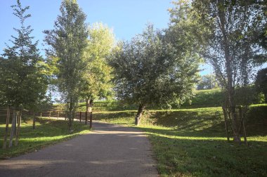 Güneşli bir günde, setin yanındaki ağaçlarla çevrili patika.