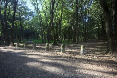 Bir parkın içindeki gölgede kısmen toprak yol üzerinde ağaçlar ve yolun bir bölümünü çevreleyen sütunlar var.