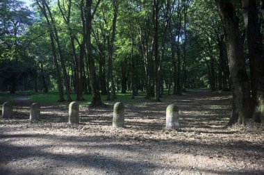 Bir parkın içindeki gölgede kısmen toprak yol üzerinde ağaçlar ve yolun bir bölümünü çevreleyen sütunlar var.