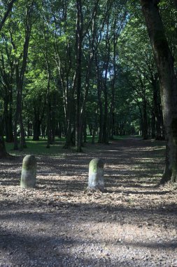 Bir parkın içindeki gölgede kısmen toprak yol üzerinde ağaçlar ve yolun bir bölümünü çevreleyen sütunlar var.