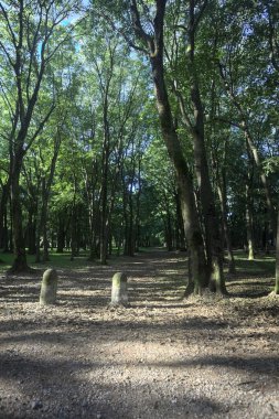 Bir parkın içindeki gölgede kısmen toprak yol üzerinde ağaçlar ve yolun bir bölümünü çevreleyen sütunlar var.