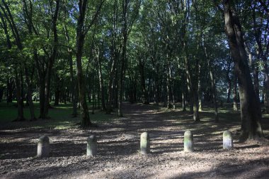 Bir parkın içindeki gölgede kısmen toprak yol üzerinde ağaçlar ve yolun bir bölümünü çevreleyen sütunlar var.