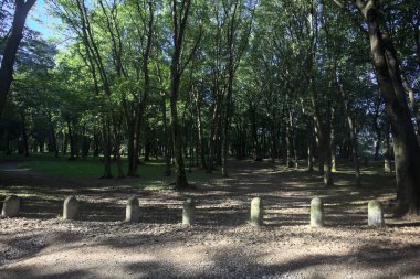 Bir parkın içindeki gölgede kısmen toprak yol üzerinde ağaçlar ve yolun bir bölümünü çevreleyen sütunlar var.