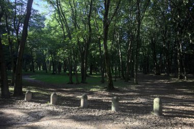 Bir parkın içindeki gölgede kısmen toprak yol üzerinde ağaçlar ve yolun bir bölümünü çevreleyen sütunlar var.