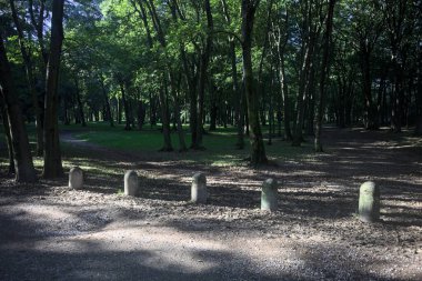 Bir parkın içindeki gölgede kısmen toprak yol üzerinde ağaçlar ve yolun bir bölümünü çevreleyen sütunlar var.