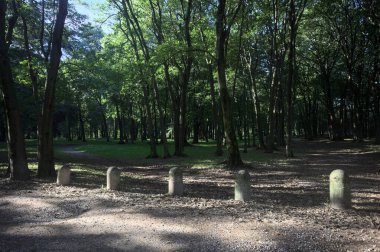 Bir parkın içindeki gölgede kısmen toprak yol üzerinde ağaçlar ve yolun bir bölümünü çevreleyen sütunlar var.