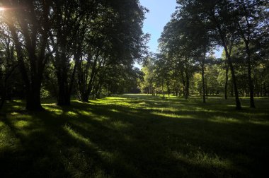 Güneşli bir sonbaharda güneşli bir günde, İtalya kırsalında ağaçlarla çevrili açık alanda.