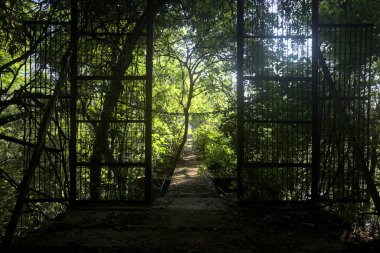 Beton bir şeridin başlangıcında, etrafındaki ağaçlarla birlikte metal bir kapı.