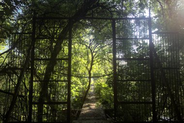 Beton bir şeridin başlangıcında, etrafındaki ağaçlarla birlikte metal bir kapı.