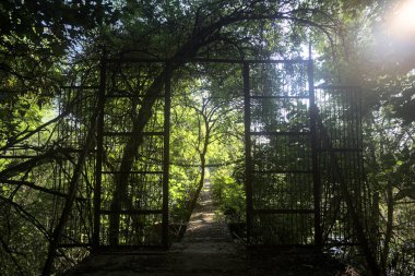Beton bir şeridin başlangıcında, etrafındaki ağaçlarla birlikte metal bir kapı.