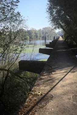 Güneşli bir günde nehrin kenarında bir ağaç ve karşı kıyıda bir orman olan bir nehrin üzerinde aşınmış beton şerit.