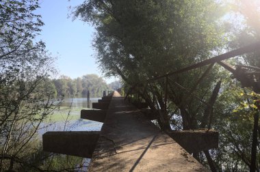 Güneşli bir günde nehrin kenarında bir ağaç ve karşı kıyıda bir orman olan bir nehrin üzerinde aşınmış beton şerit.