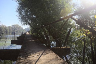 Güneşli bir günde nehrin kenarında bir ağaç ve karşı kıyıda bir orman olan bir nehrin üzerinde aşınmış beton şerit.