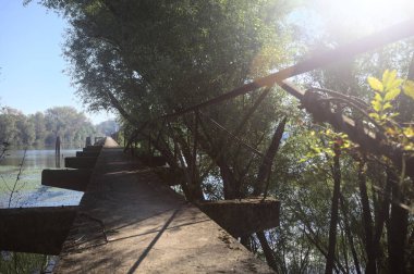 Güneşli bir günde nehrin kenarında bir ağaç ve karşı kıyıda bir orman olan bir nehrin üzerinde aşınmış beton şerit.