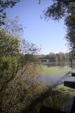 Ağaçların çerçevelediği güneşli bir günde, uzaktaki bir nehir kıyısındaki köprü.