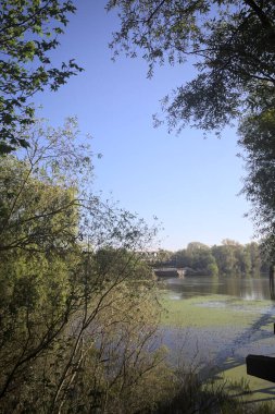 Ağaçların çerçevelediği güneşli bir günde, uzaktaki bir nehir kıyısındaki köprü.