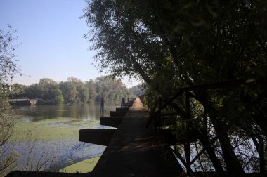 Güneşli bir günde nehrin kenarında bir ağaç ve karşı kıyıda bir orman olan bir nehrin üzerinde aşınmış beton şerit.