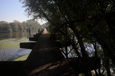 Güneşli bir günde nehrin kenarında bir ağaç ve karşı kıyıda bir orman olan bir nehrin üzerinde aşınmış beton şerit.