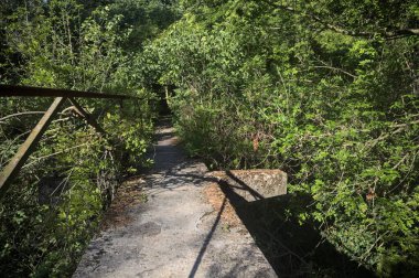 Metalik bir demiryolu ile beton kaldırım bir orman ağaçlarının üzerinden geçiyor.