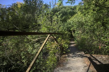 Metalik bir demiryolu ile beton kaldırım bir orman ağaçlarının üzerinden geçiyor.