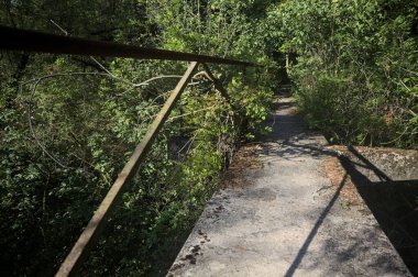 Metalik bir demiryolu ile beton kaldırım bir orman ağaçlarının üzerinden geçiyor.