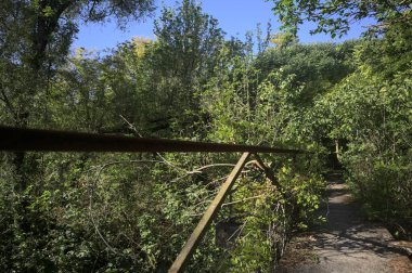 Metalik bir demiryolu ile beton kaldırım bir orman ağaçlarının üzerinden geçiyor.