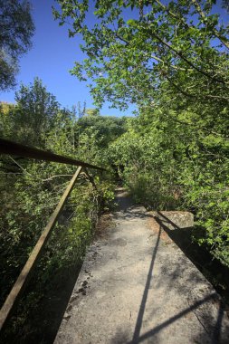 Metalik bir demiryolu ile beton kaldırım bir orman ağaçlarının üzerinden geçiyor.