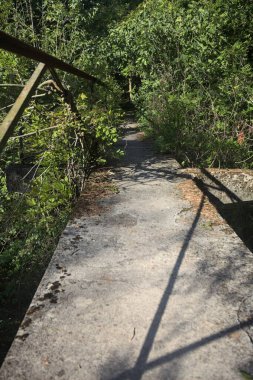 Metalik bir demiryolu ile beton kaldırım bir orman ağaçlarının üzerinden geçiyor.