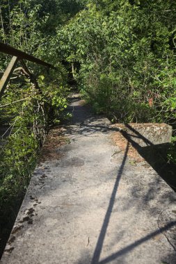 Metalik bir demiryolu ile beton kaldırım bir orman ağaçlarının üzerinden geçiyor.