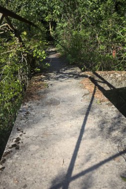 Metalik bir demiryolu ile beton kaldırım bir orman ağaçlarının üzerinden geçiyor.