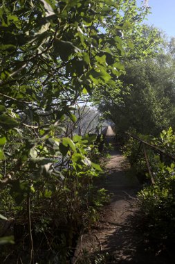 Güneşli bir günde nehrin kenarında bir ağaç ve karşı kıyıda bir orman olan bir nehrin üzerinde aşınmış beton şerit.