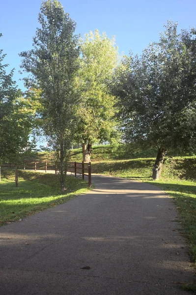 Güneşli bir günde, setin yanındaki ağaçlarla çevrili patika.