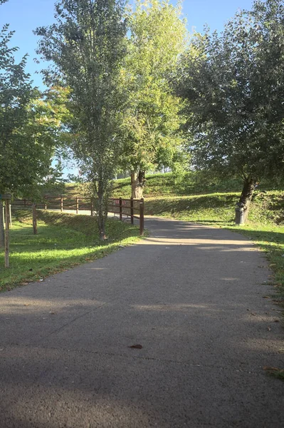 Güneşli bir günde, setin yanındaki ağaçlarla çevrili patika.