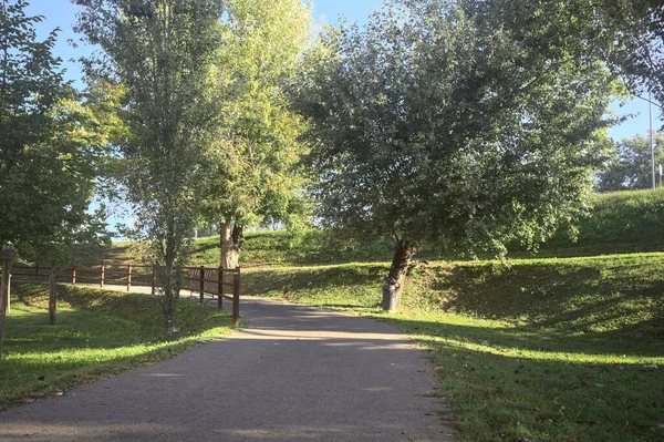 Güneşli bir günde, setin yanındaki ağaçlarla çevrili patika.