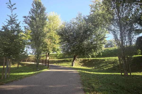 Güneşli bir günde, setin yanındaki ağaçlarla çevrili patika.