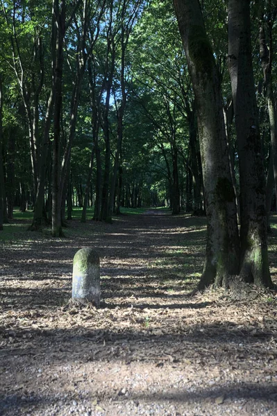 Bir parkın içindeki gölgede kısmen toprak yol üzerinde ağaçlar ve yolun bir bölümünü çevreleyen sütunlar var.