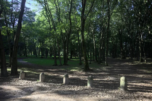 Bir parkın içindeki gölgede kısmen toprak yol üzerinde ağaçlar ve yolun bir bölümünü çevreleyen sütunlar var.