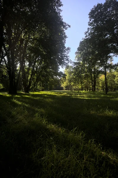 Güneşli bir sonbaharda güneşli bir günde, İtalya kırsalında ağaçlarla çevrili açık alanda.
