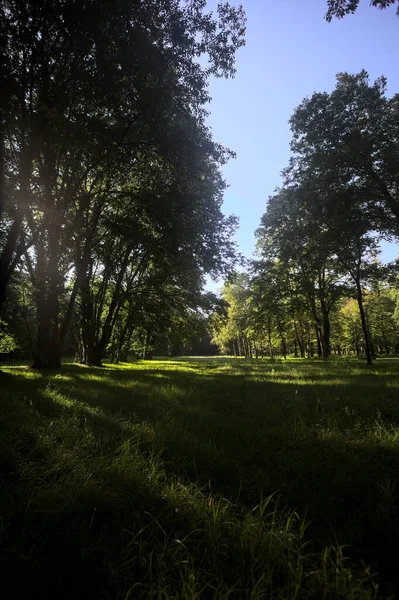 Güneşli bir sonbaharda güneşli bir günde, İtalya kırsalında ağaçlarla çevrili açık alanda.