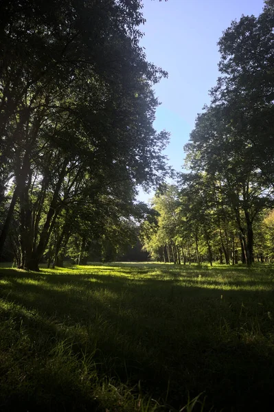 Güneşli bir sonbaharda güneşli bir günde, İtalya kırsalında ağaçlarla çevrili açık alanda.