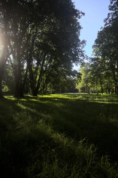 Güneşli bir sonbaharda güneşli bir günde, İtalya kırsalında ağaçlarla çevrili açık alanda.