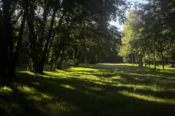 Güneşli bir sonbaharda güneşli bir günde, İtalya kırsalında ağaçlarla çevrili açık alanda.